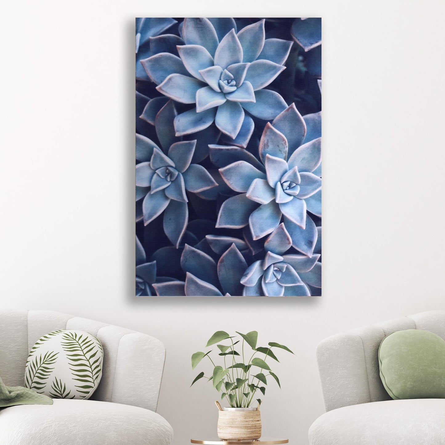 Teal Rose Succulent Canvas Wall Art