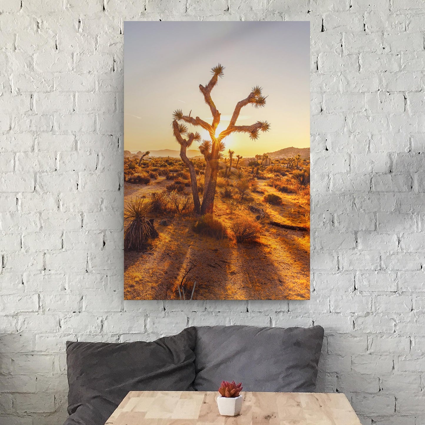 Joshua Tree Of The Mojave And Colorado Deserts Canvas Wall Art
