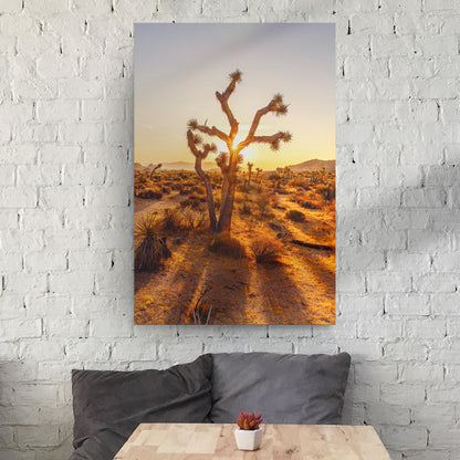 Joshua Tree Of The Mojave And Colorado Deserts Canvas Wall Art