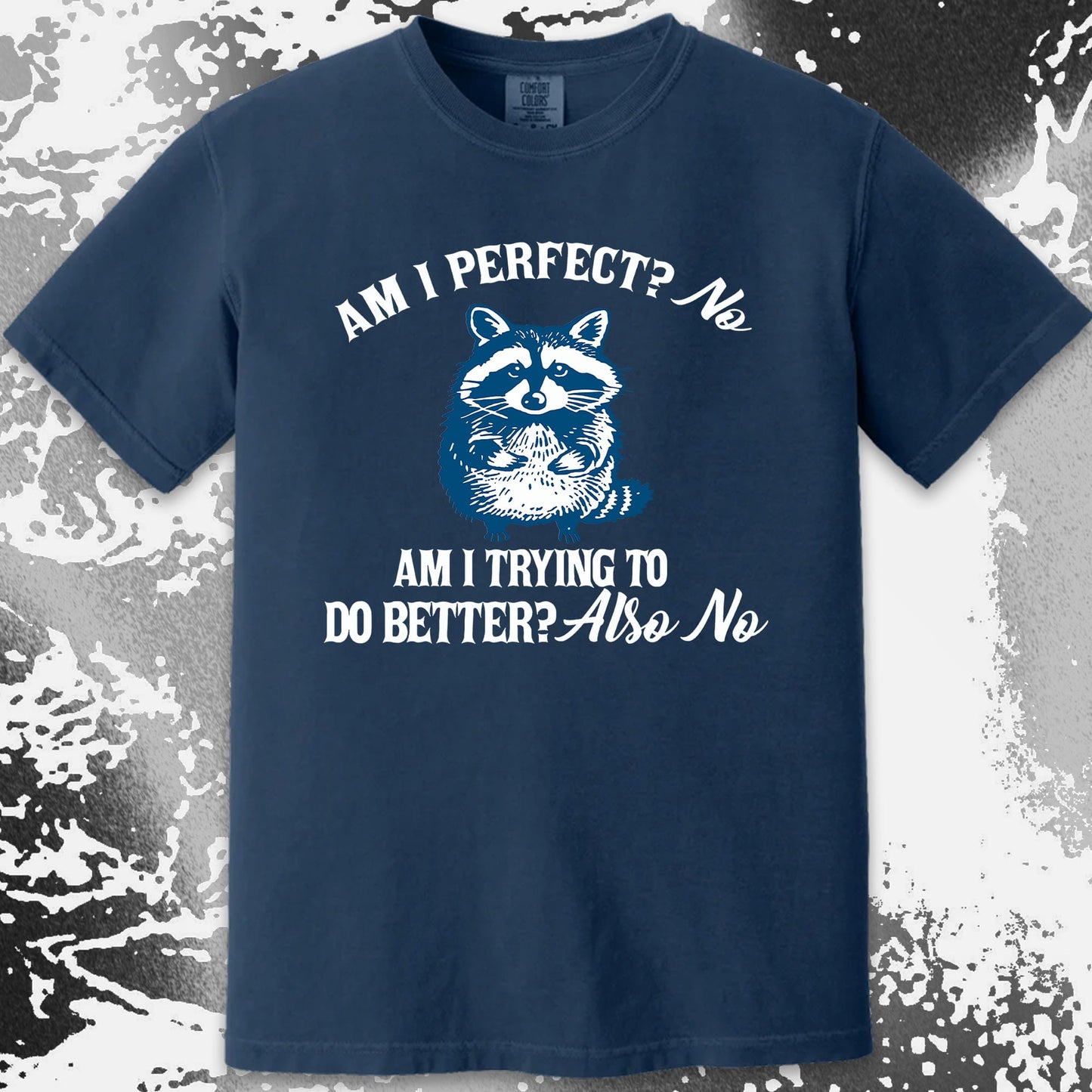Am I Perfect? No Raccoon T-Shirt – Honest Self Awareness, funny meme tee gift (view 13)
