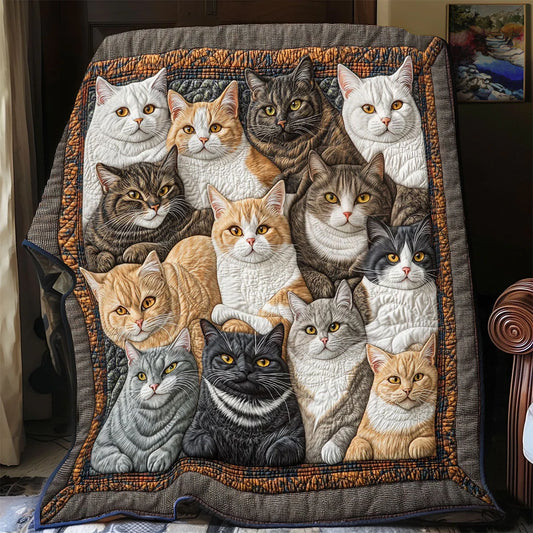 Cats Gaze Quilt Blanket