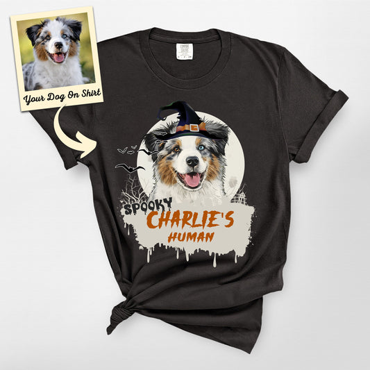 Custom Australian Shepherd Shirt Treat or Trick Co