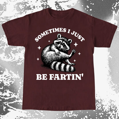 Sometimes I Just Be Fartin' Raccoon Shirt, funny meme tee gift (view 9)
