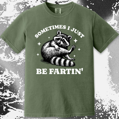 Sometimes I Just Be Fartin' Raccoon Shirt, funny meme tee gift (view 13)