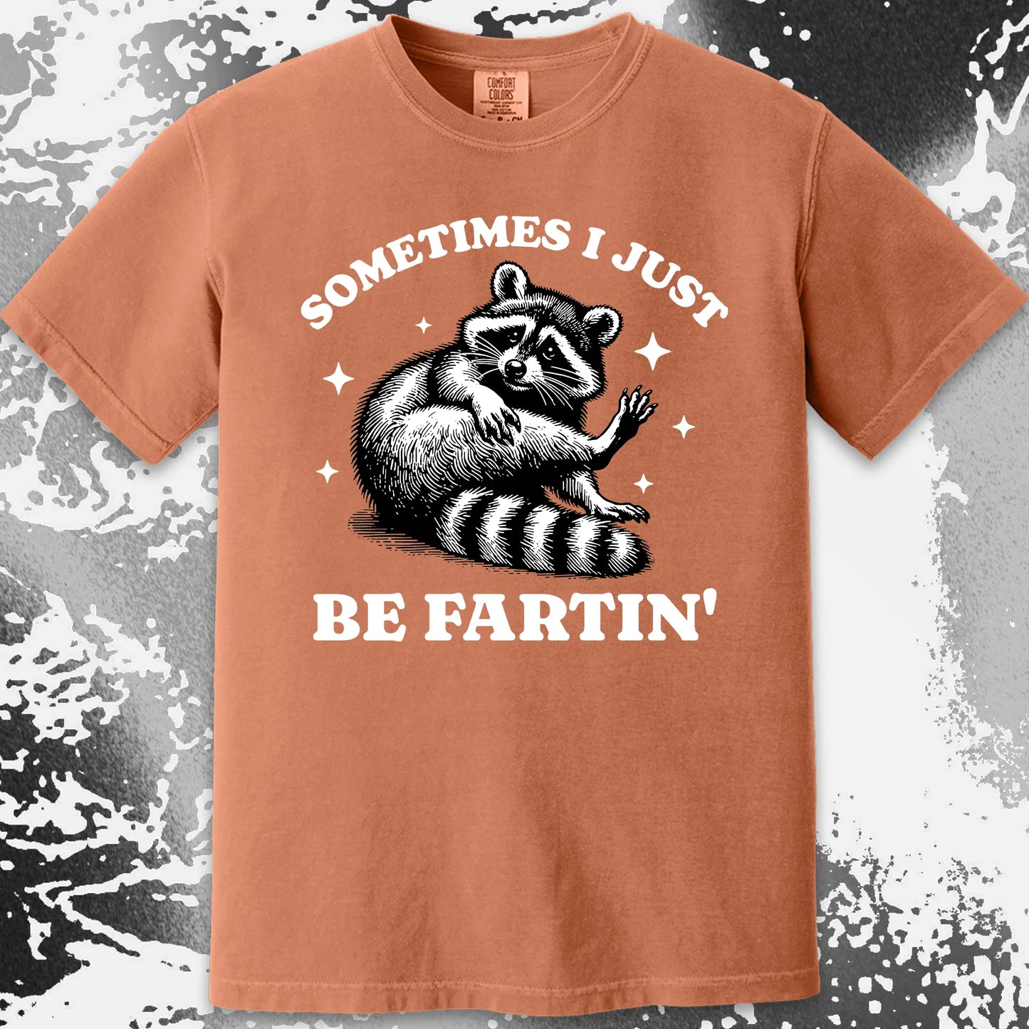 Sometimes I Just Be Fartin' Raccoon Shirt, funny meme tee gift (view 14)