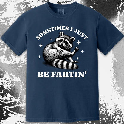Sometimes I Just Be Fartin' Raccoon Shirt, funny meme tee gift (view 15)
