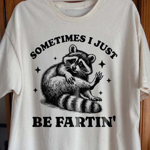 Sometimes I Just Be Fartin' Raccoon Shirt, funny meme tee gift