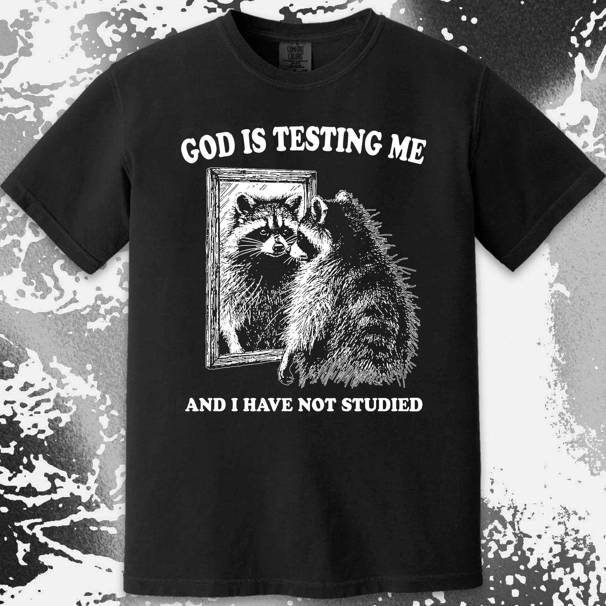 God Is Testing Me And I Have Not Studied Shirt (view 17)