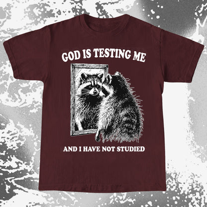 God Is Testing Me And I Have Not Studied Shirt (view 5)