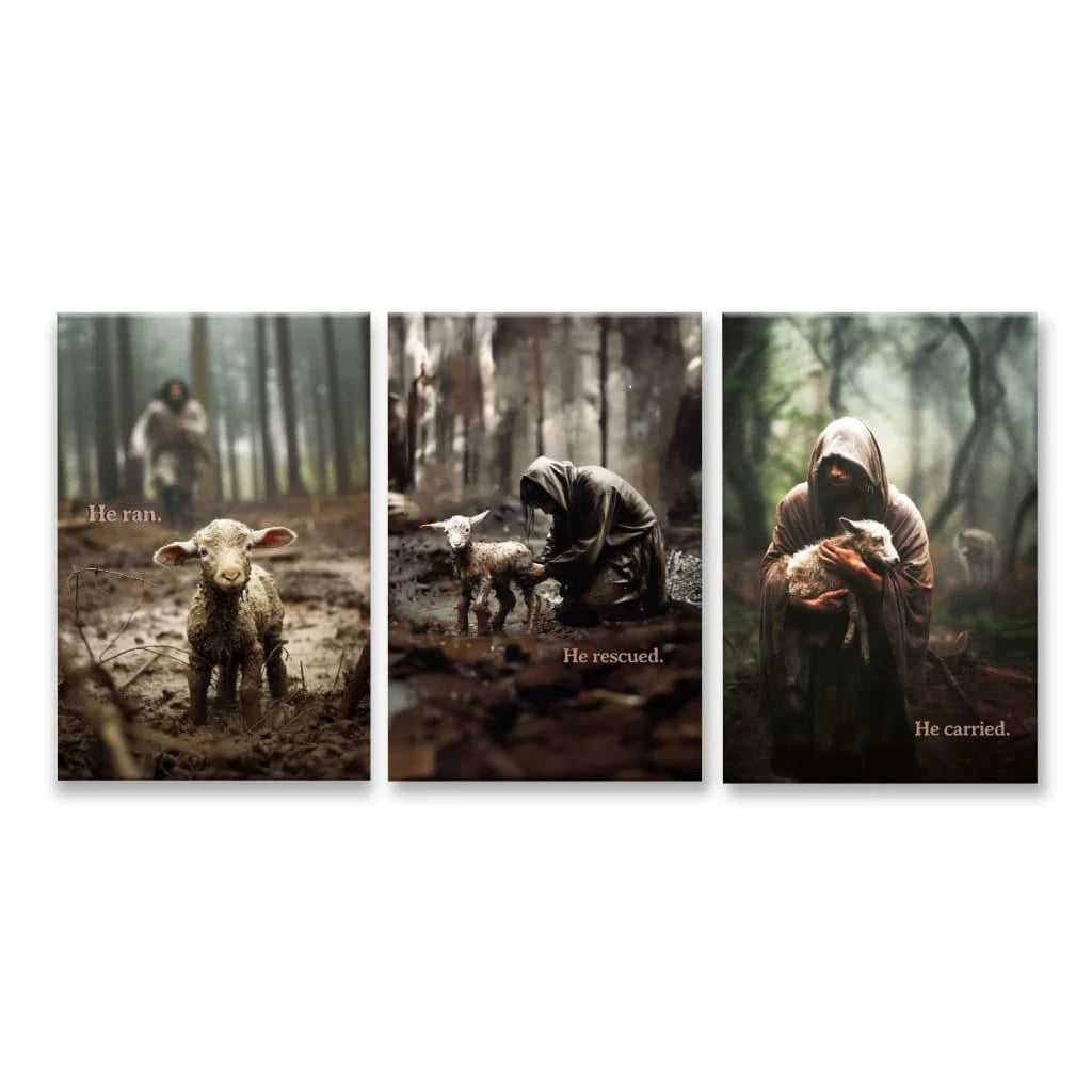 he ran he rescued he carried 3 panel wall art canvas (view 5)