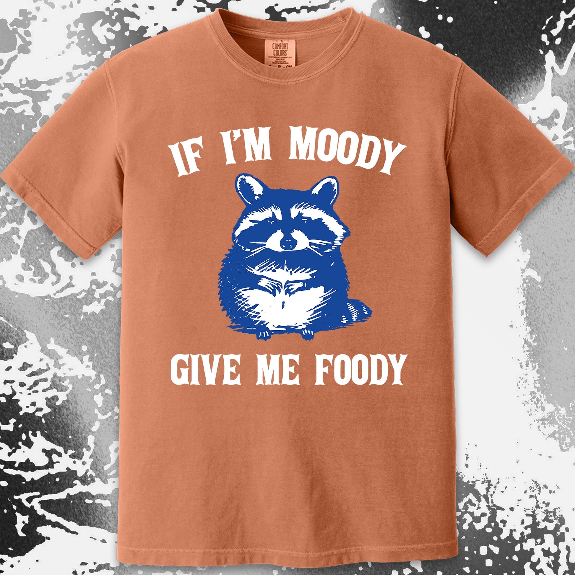 If I'm Moody Give Me Foody Raccoon Shirt, funny meme tee gift (view 16)