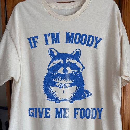 If I'm Moody Give Me Foody Raccoon Shirt, funny meme tee gift