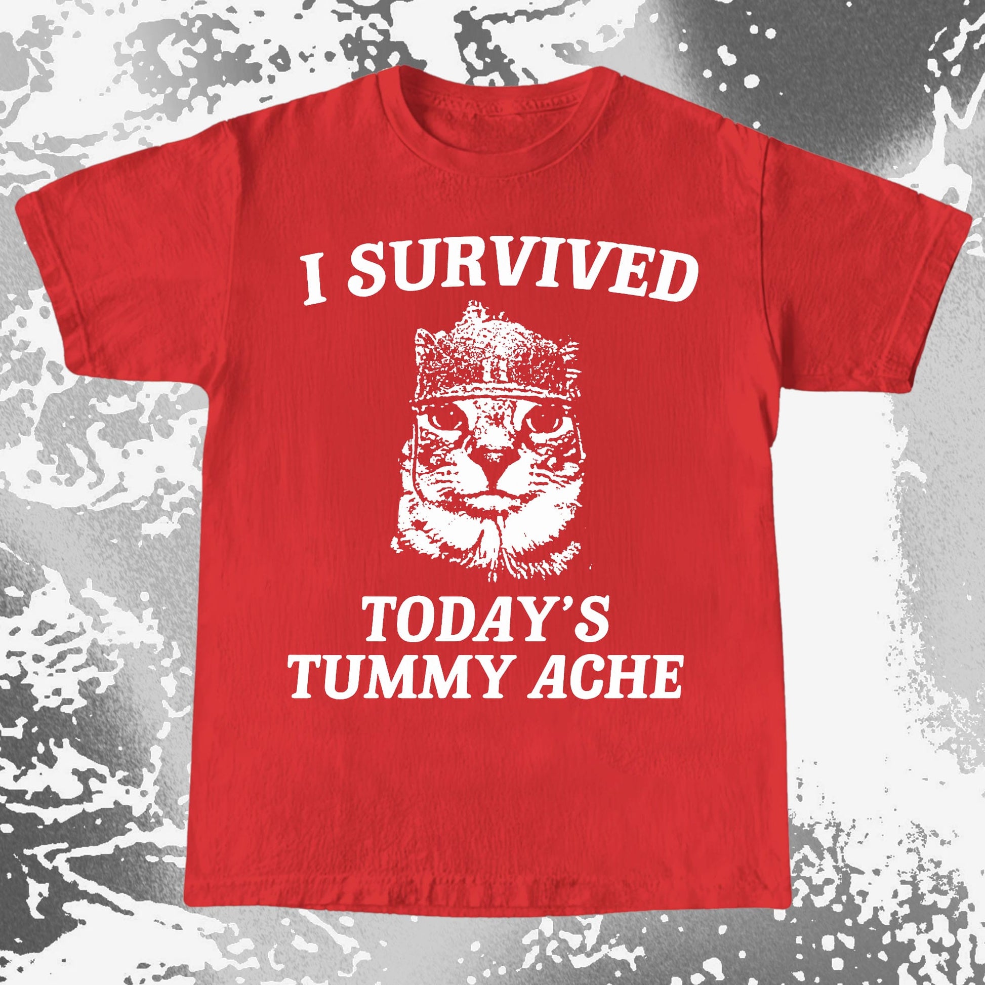 I Survived Today's Tummy Ache Cat Shirt (view 8)