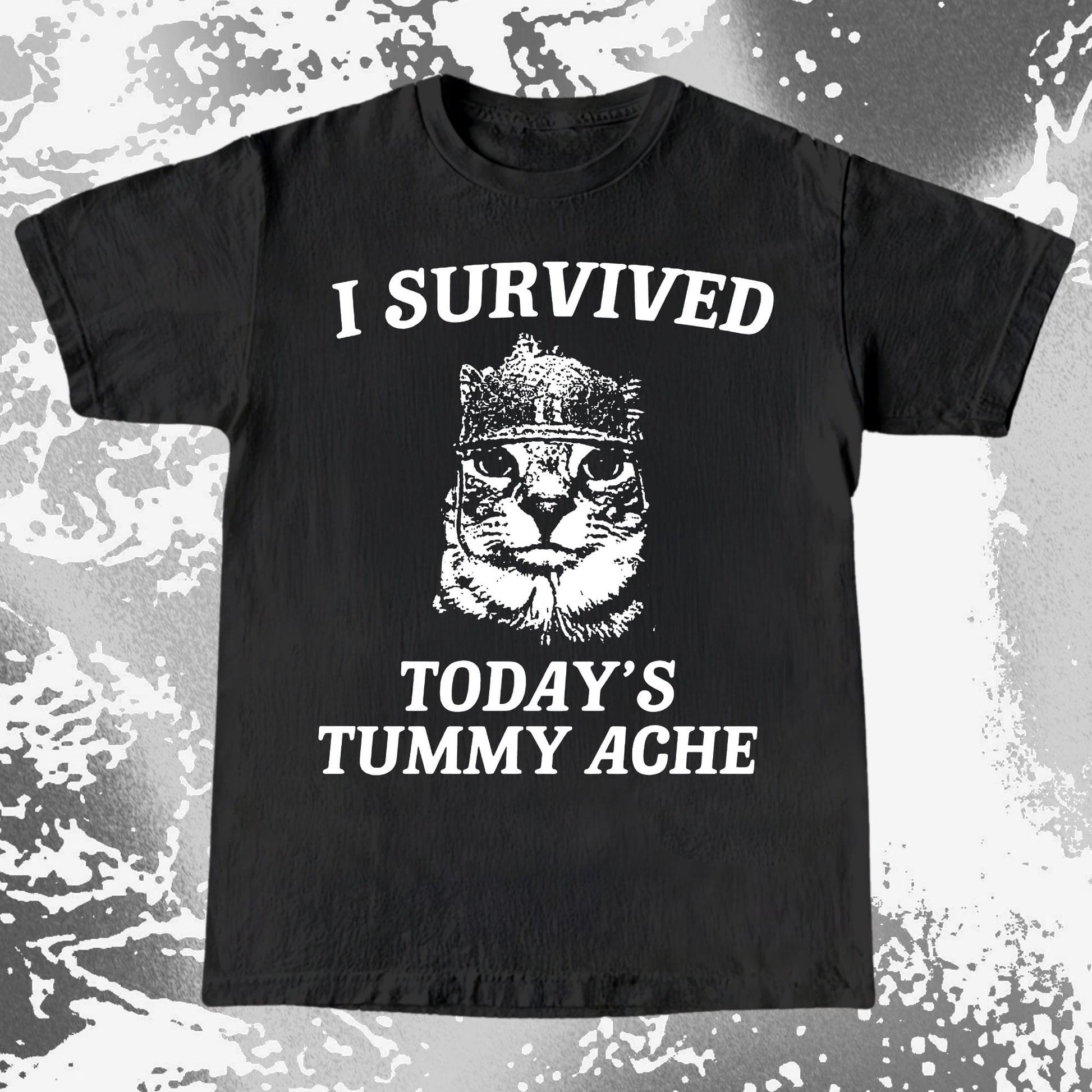 I Survived Today's Tummy Ache Cat Shirt (view 2)
