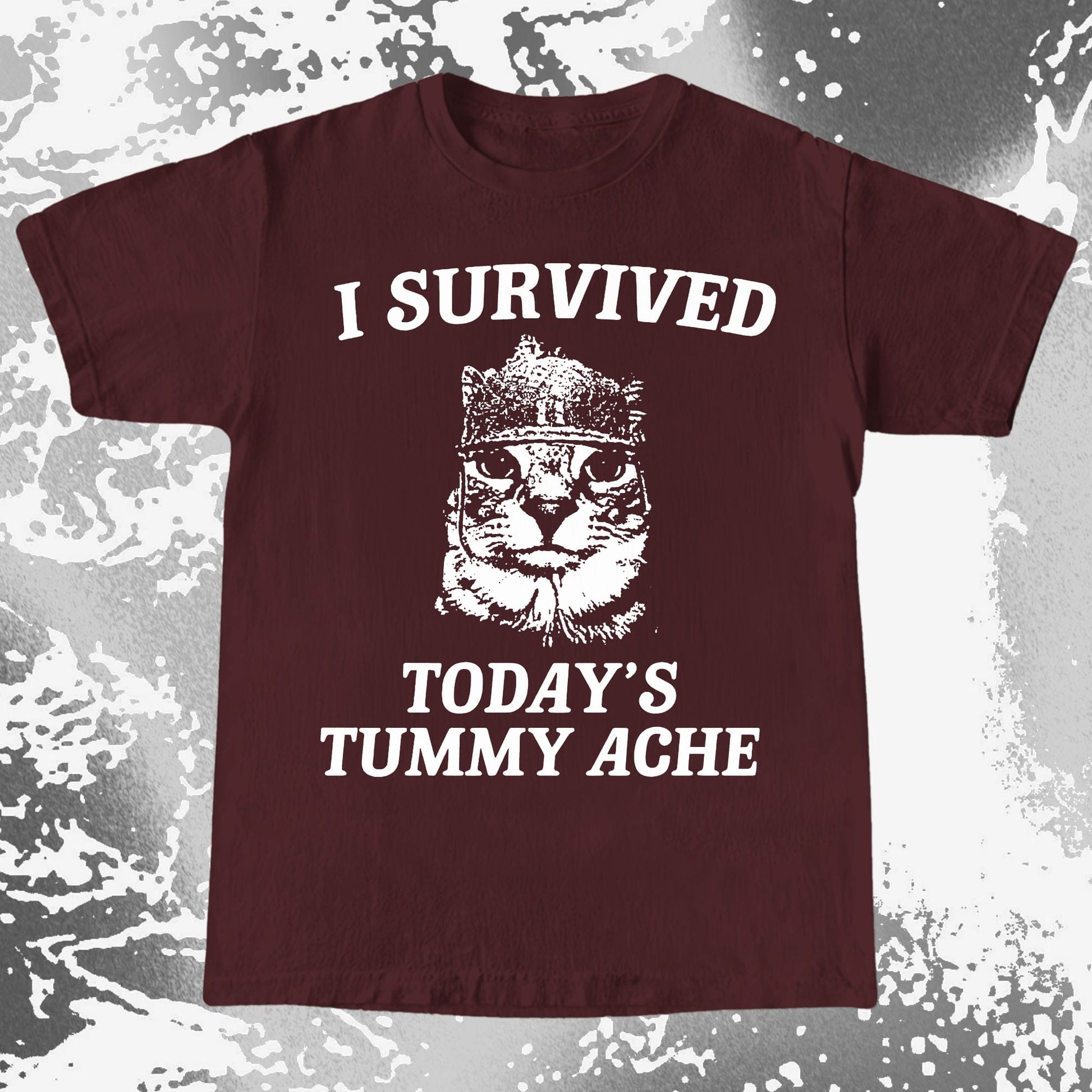 I Survived Today's Tummy Ache Cat Shirt (view 7)