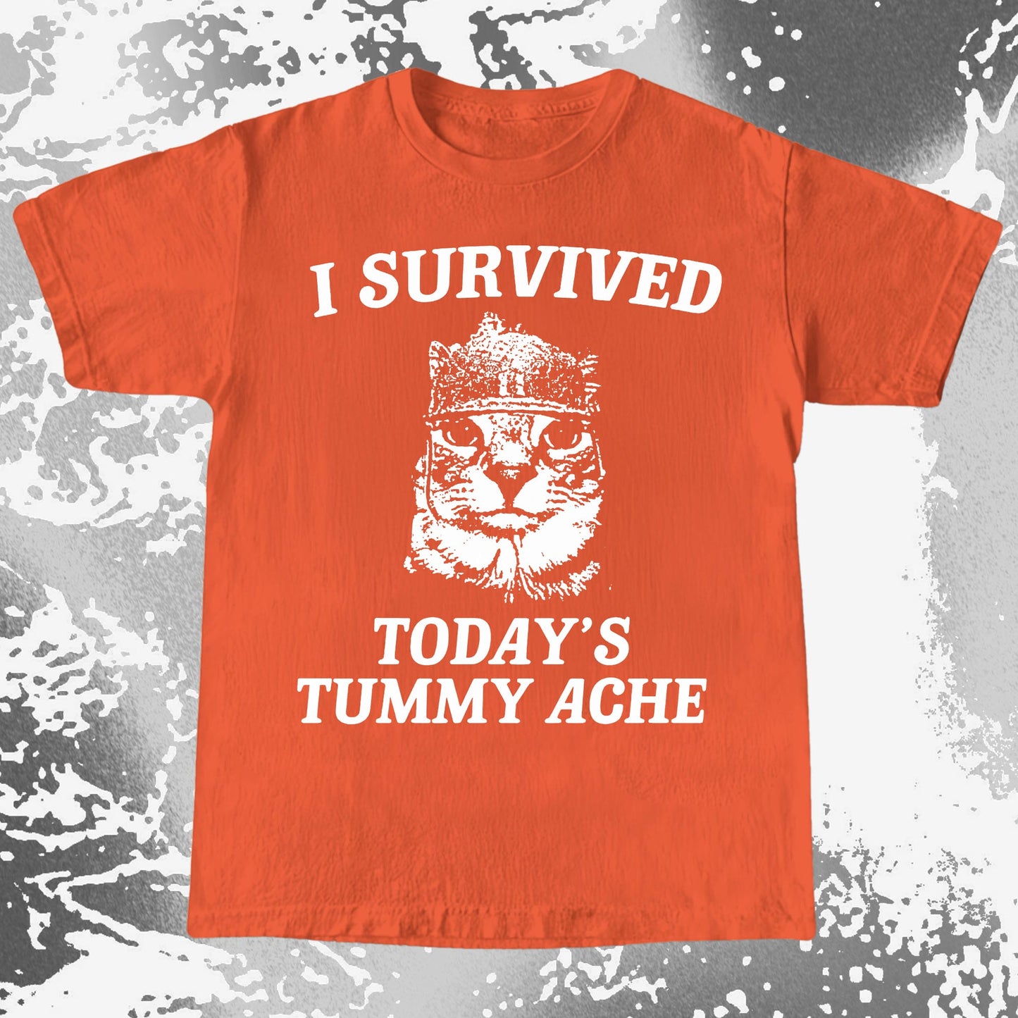 I Survived Today's Tummy Ache Cat Shirt (view 5)