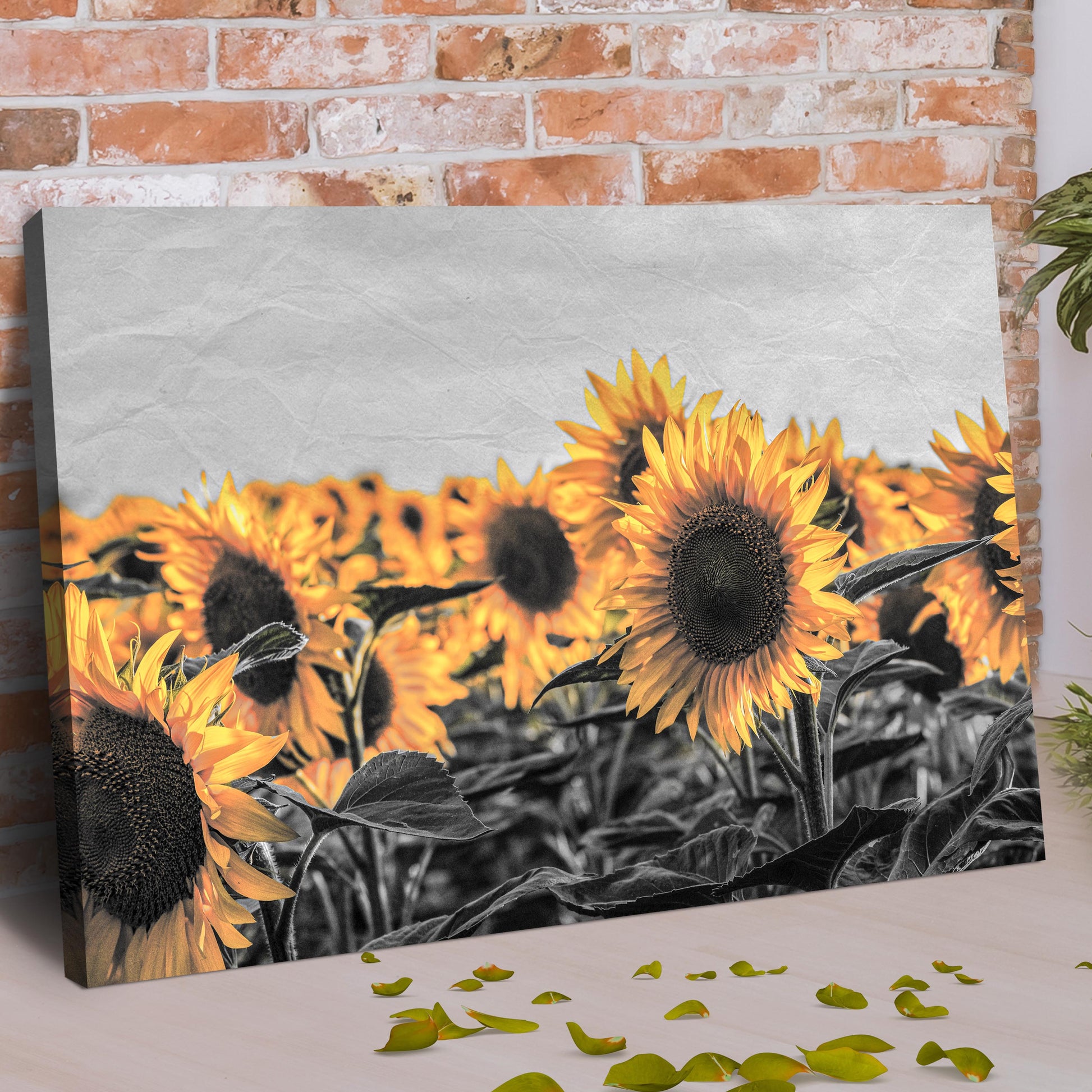 Rustic Pop Sunflower Canvas Wall Art
