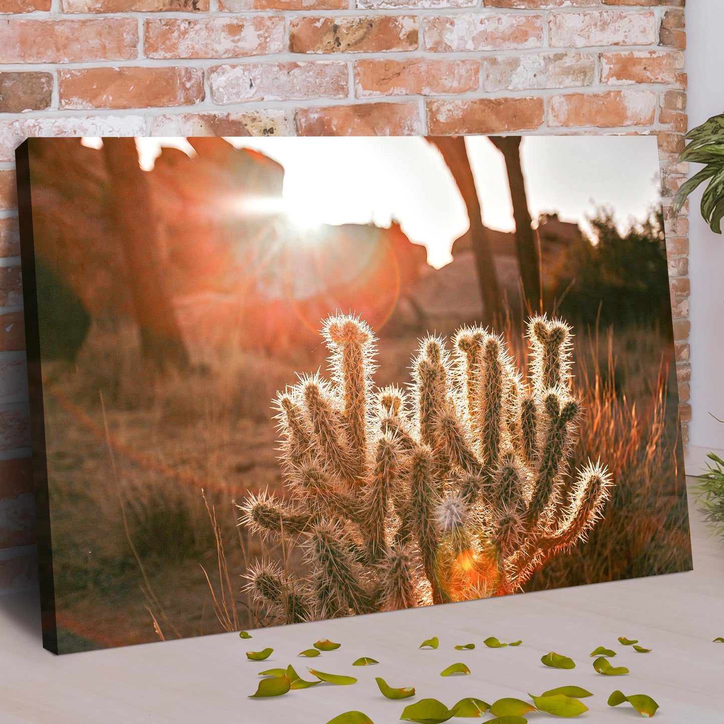 Sunset Ray On Cactus Canvas Wall Art