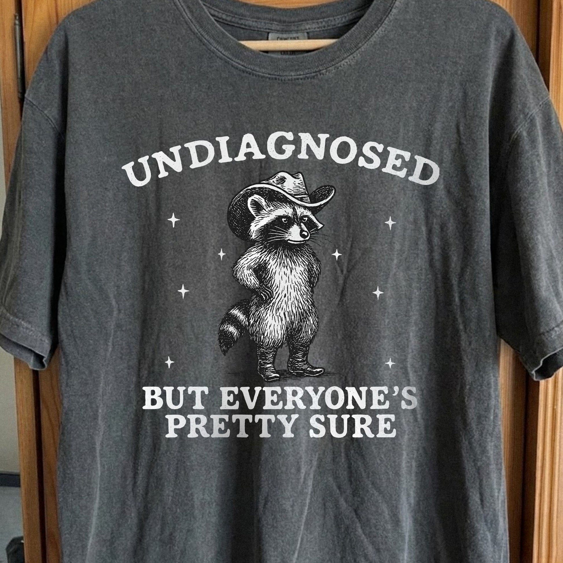 Raccoon Undiagnosed But Everyone's Pretty Sure, funny meme tee gift