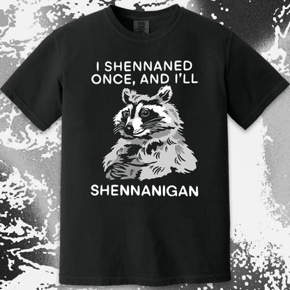 Raccoon Shenanigans T-Shirt, Sarcastic Humor Quote, Mischief Animal Art, funny meme tee gift (view 11)