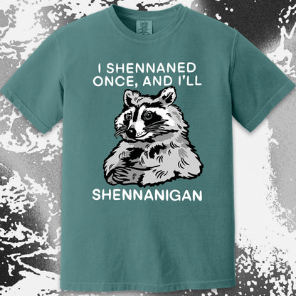 Raccoon Shenanigans T-Shirt, Sarcastic Humor Quote, Mischief Animal Art, funny meme tee gift (view 12)