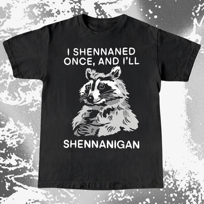 Raccoon Shenanigans T-Shirt, Sarcastic Humor Quote, Mischief Animal Art, funny meme tee gift (view 13)
