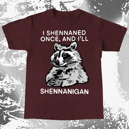 Raccoon Shenanigans T-Shirt, Sarcastic Humor Quote, Mischief Animal Art, funny meme tee gift (view 15)