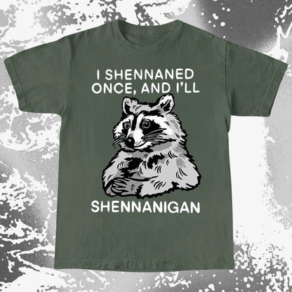 Raccoon Shenanigans T-Shirt, Sarcastic Humor Quote, Mischief Animal Art, funny meme tee gift (view 16)