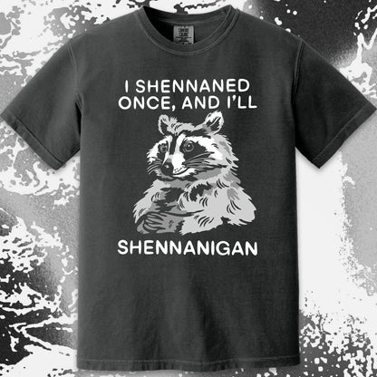 Raccoon Shenanigans T-Shirt, Sarcastic Humor Quote, Mischief Animal Art, funny meme tee gift (view 3)