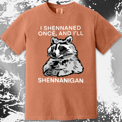 Raccoon Shenanigans T-Shirt, Sarcastic Humor Quote, Mischief Animal Art, funny meme tee gift (view 5)