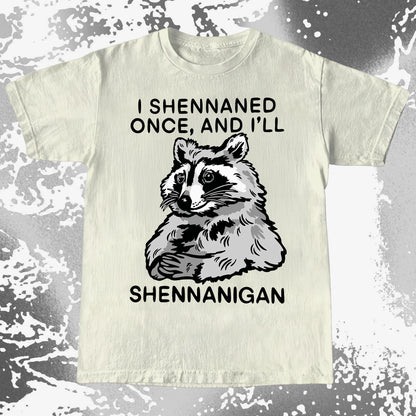 Raccoon Shenanigans T-Shirt, Sarcastic Humor Quote, Mischief Animal Art, funny meme tee gift (view 10)