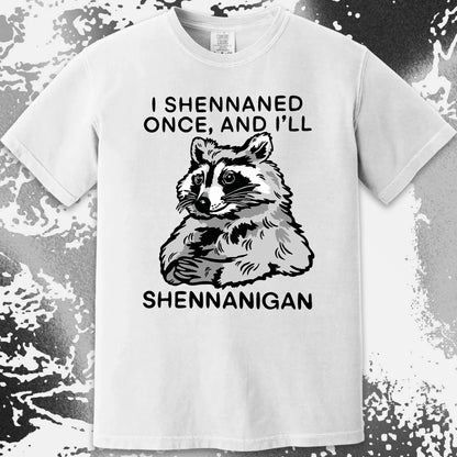 Raccoon Shenanigans T-Shirt, Sarcastic Humor Quote, Mischief Animal Art, funny meme tee gift (view 6)