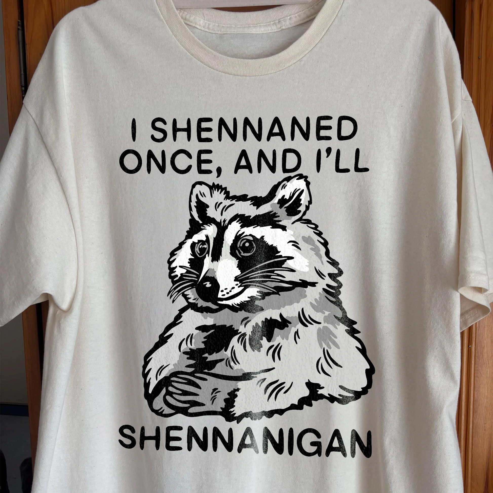 Raccoon Shenanigans T-Shirt, Sarcastic Humor Quote, Mischief Animal Art, funny meme tee gift (view 2)